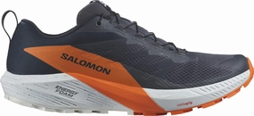 Shoes Salomon Salomon Sense Ride 5 GORE-TEX Mens Trail Running Shoes - Grey