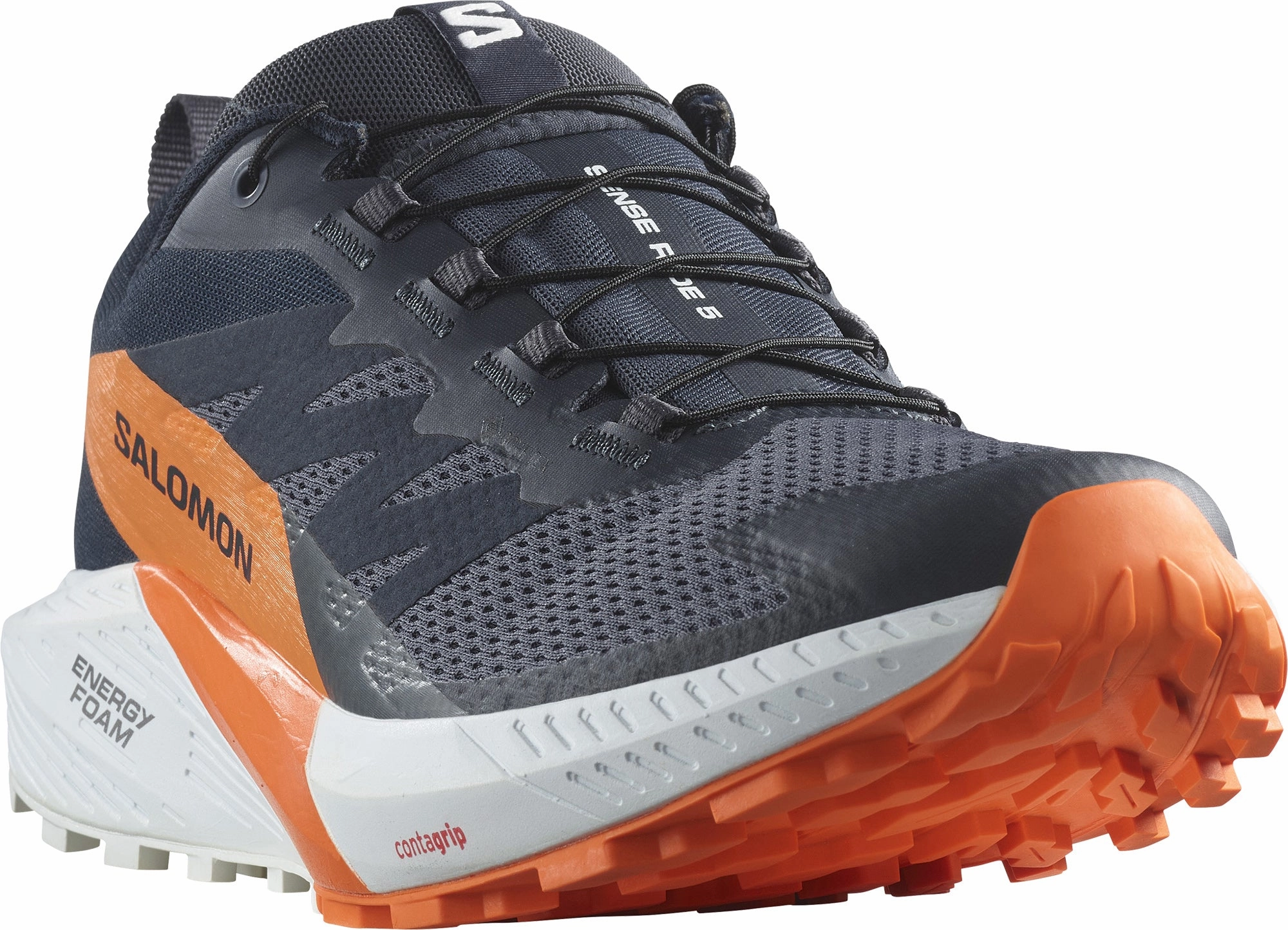 Shoes Salomon Salomon Sense Ride 5 GORE-TEX Mens Trail Running Shoes - Grey