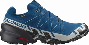 Shoes Salomon Salomon Speedcross 6 GORE-TEX Mens Trail Running Shoes - Blue