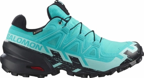 Shoes Salomon Salomon Speedcross 6 GORE-TEX Womens Trail Running Shoes - Blue