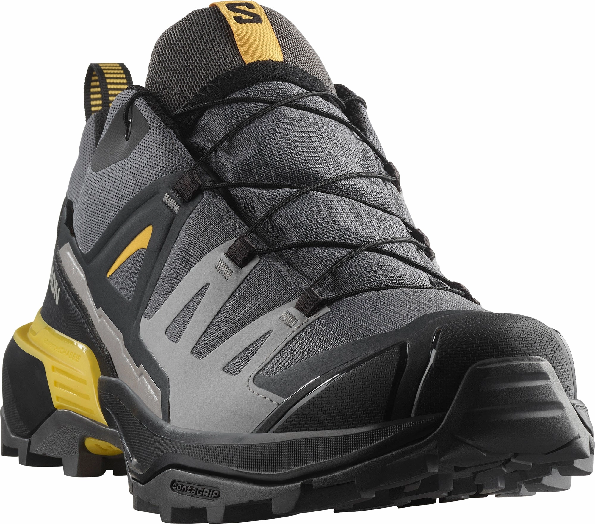 Shoes Salomon Salomon X Ultra 360 GORE-TEX Mens Walking Shoes - Grey