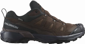 Shoes Salomon Salomon X Ultra 360 Leather GORE-TEX Mens Walking Shoes - Brown