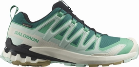 Shoes Salomon Salomon XA Pro 3D V9 GORE-TEX Womens Trail Running Shoes - Green