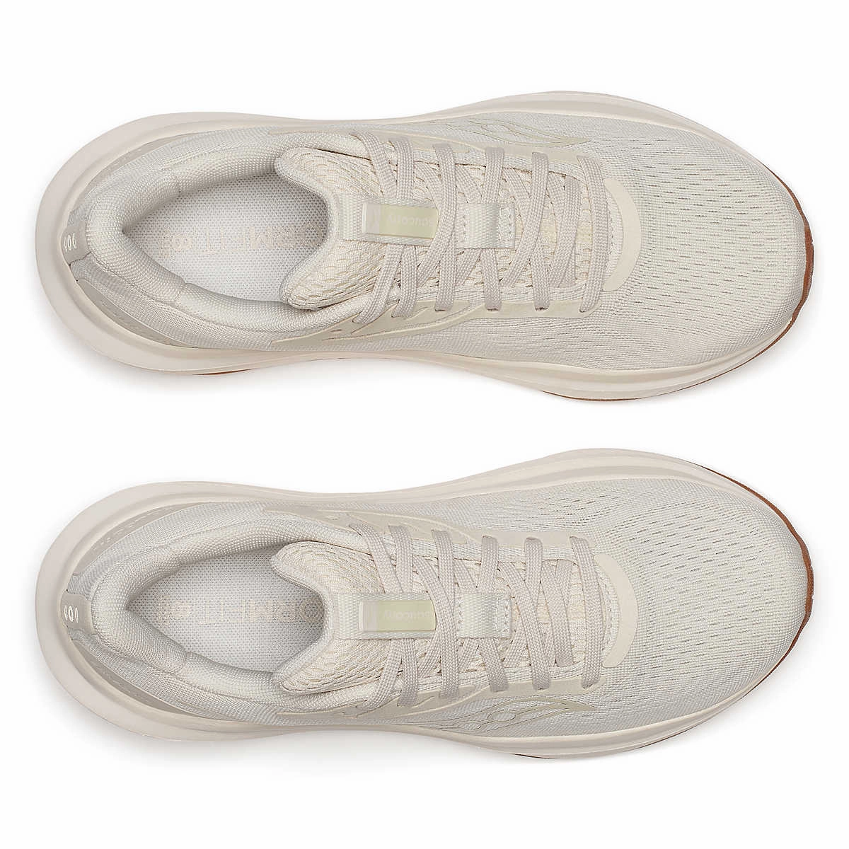 Shoes Saucony Women's Echelon 10