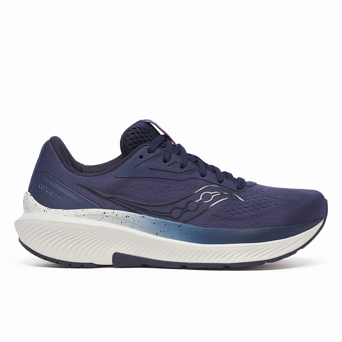 Shoes Saucony Women's Echelon 10