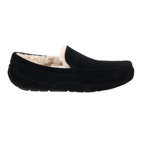Shoes Ugg Men's Ascot