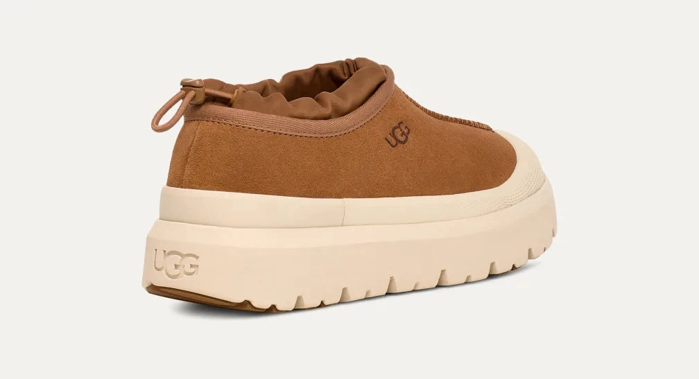 Shoes Ugg Men's Tasman Weather Hybrid