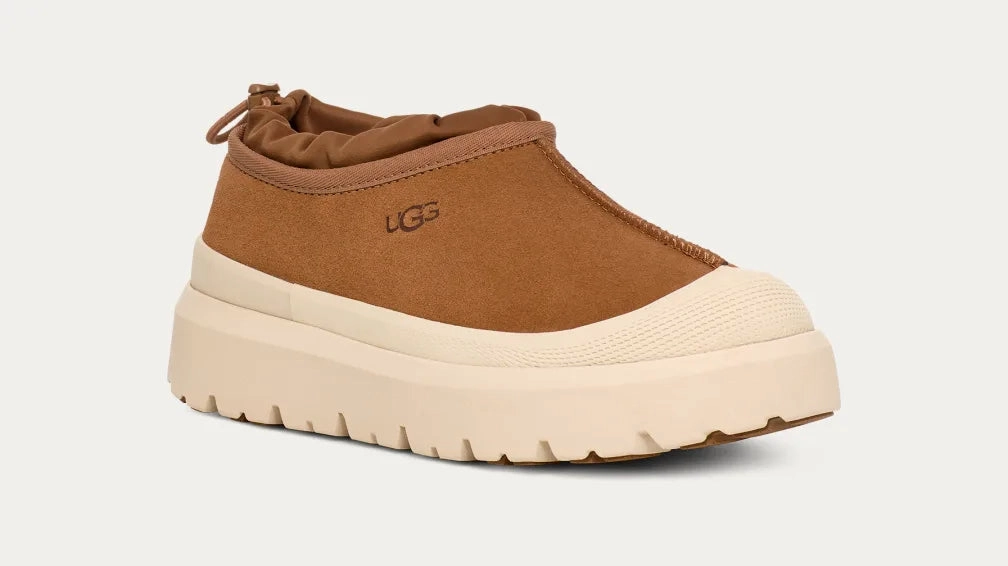 Shoes Ugg Men's Tasman Weather Hybrid
