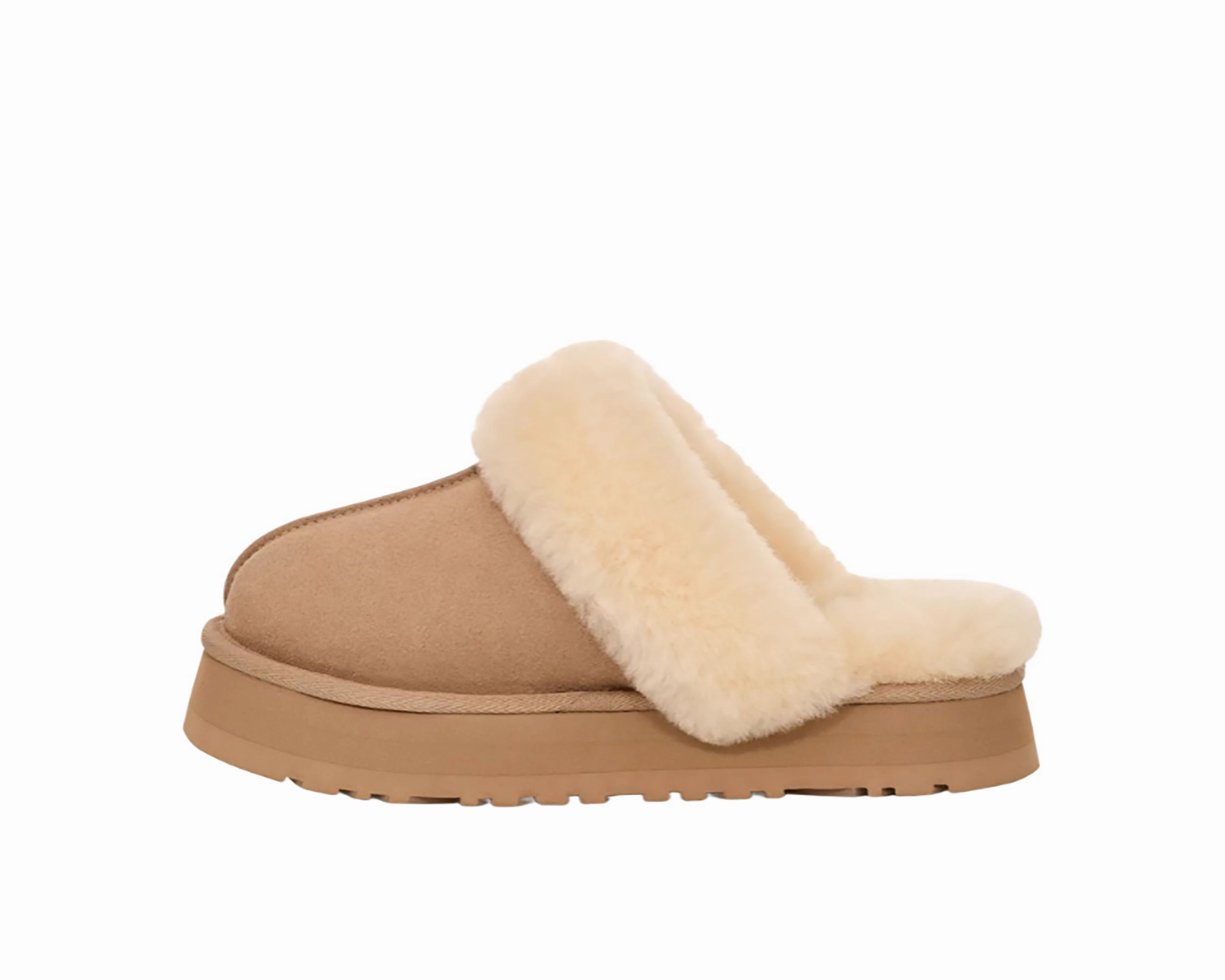 Women`s Disquette Slipper